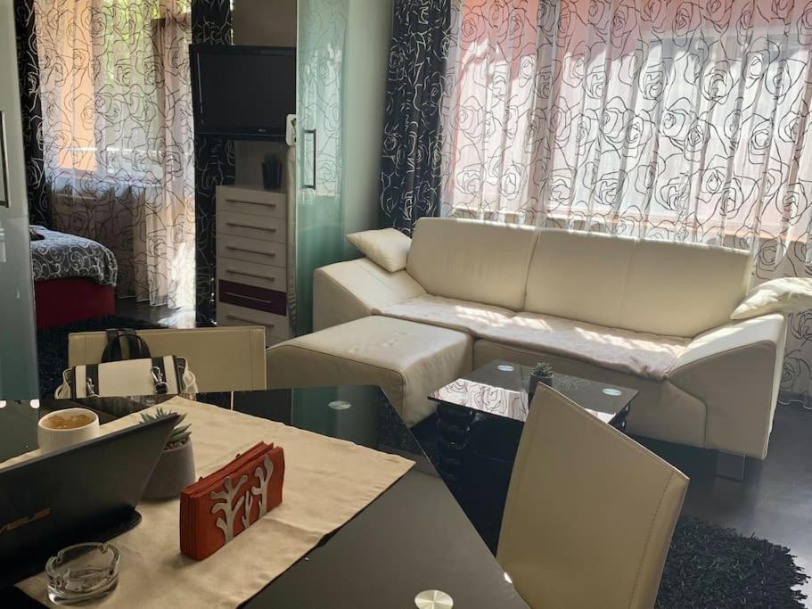 Lovely Sofia Apartment Katerina With Free Parking Exterior foto