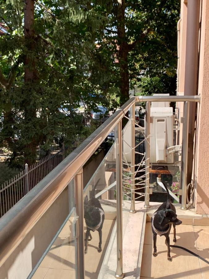 Lovely Sofia Apartment Katerina With Free Parking Exterior foto