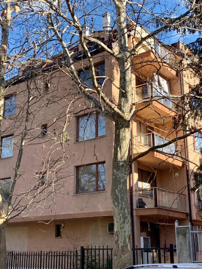 Lovely Sofia Apartment Katerina With Free Parking Exterior foto